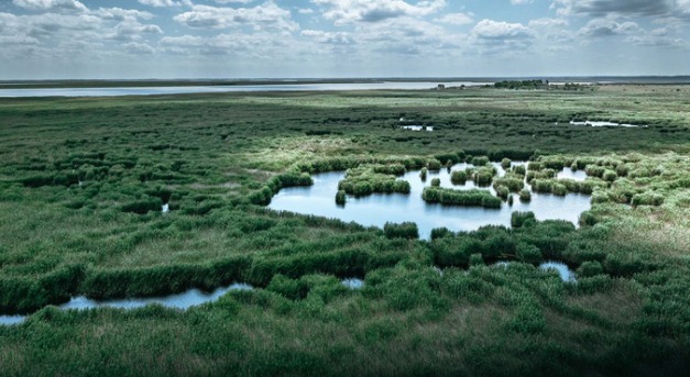 A Kúria a Greenpeace-nek adott igazat a Fertő tó ügyében